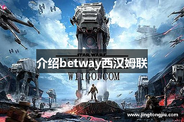 介绍betway西汉姆联